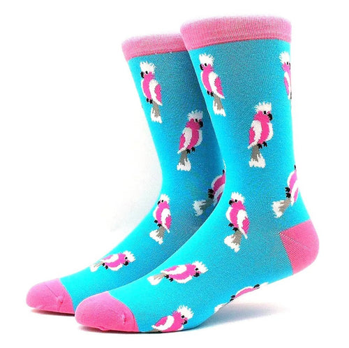 Cute Galah Crazy Socks - Crazy Sock Thursdays